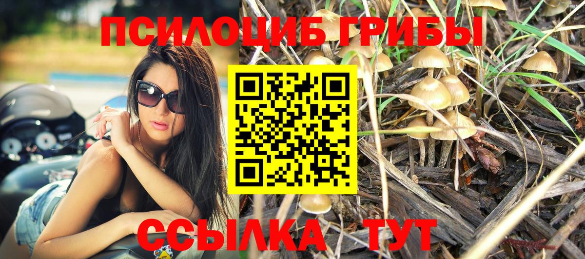 Галлюциногенные грибы Psilocybe  Вход с VPN  Галлюциногенные грибы Cubensis  Рыбинск 